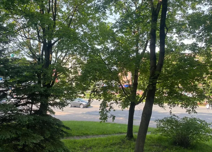 Studija Berta * Klaipeda